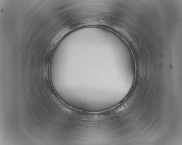 X0000069381273200606021558