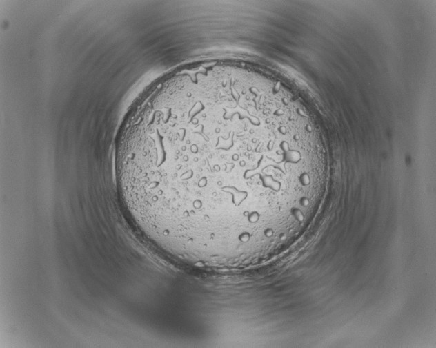 X0000069381275200606021558