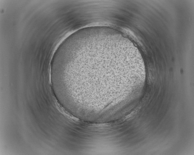 X0000069381276200606021558