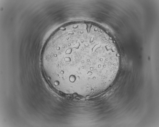 X0000069381279200606021557