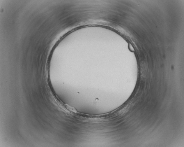 X0000069381280200606021557