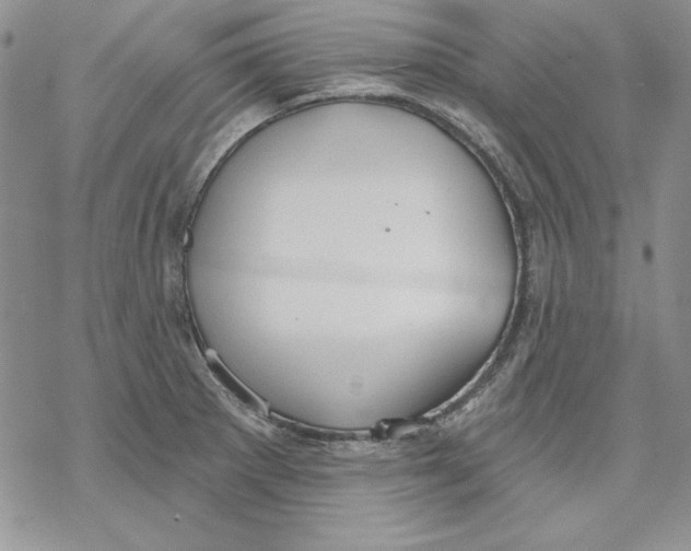 X0000069381281200606021557