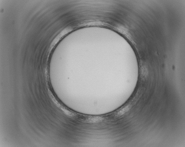 X0000069381282200606021557