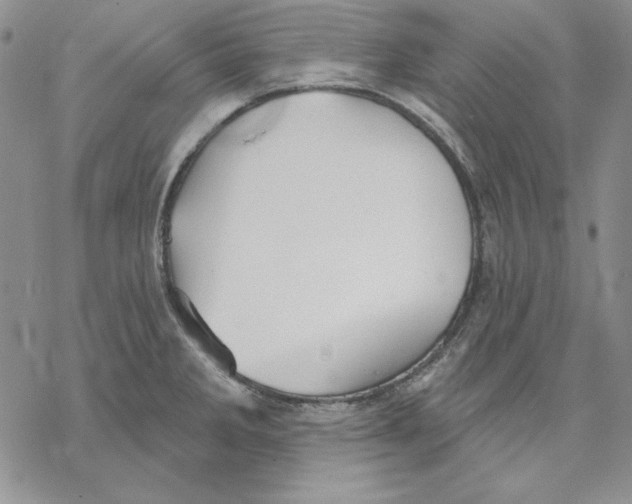 X0000069381285200606021557