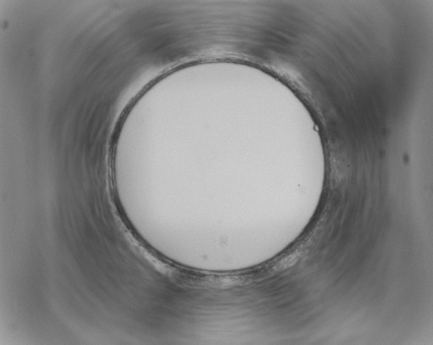 X0000069381286200606021557