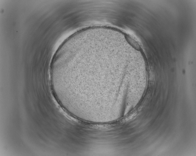 X0000069381287200606021557