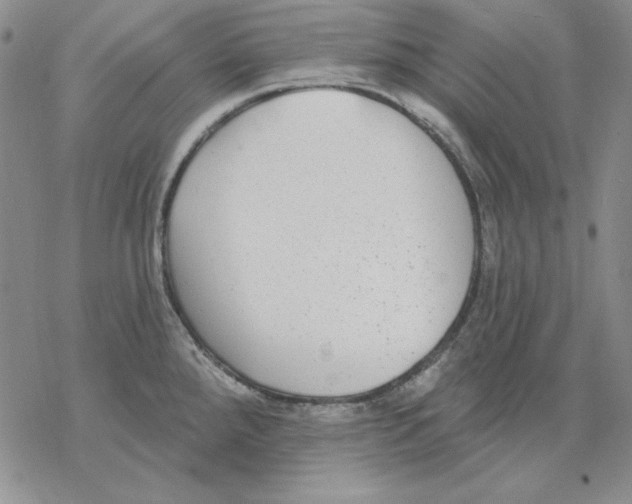 X0000069381288200606021557