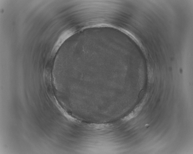 X0000069381289200606021557