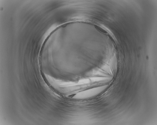 X0000069381291200606021557