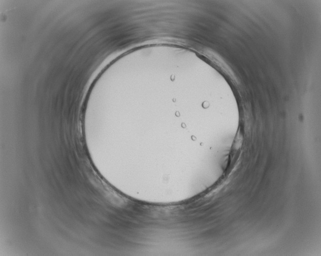 X0000069381292200606021557