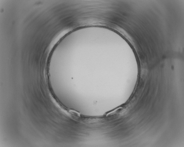 X0000069381293200606021557