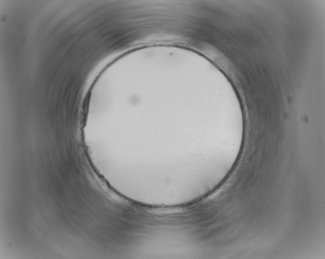 X0000069381296200606021557