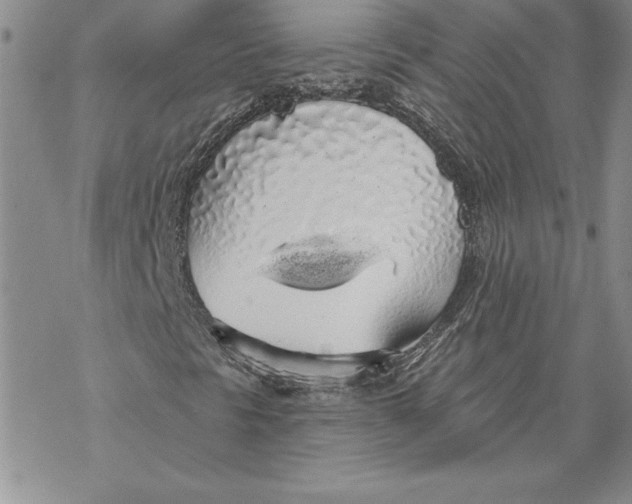 X0000069381297200606021556