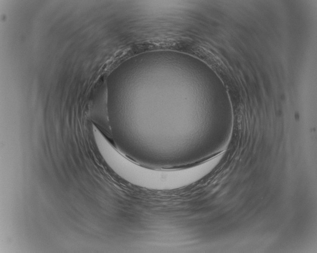 X0000069381298200606021556