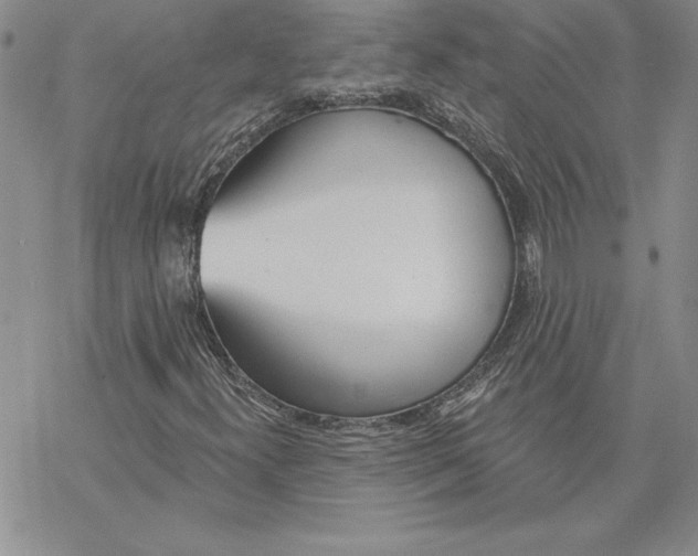 X0000069381300200606021556