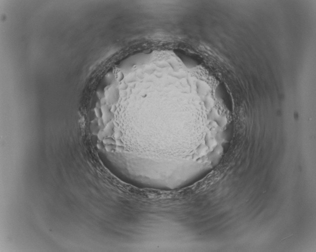 X0000069381302200606021557