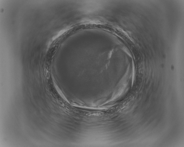 X0000069381303200606021557