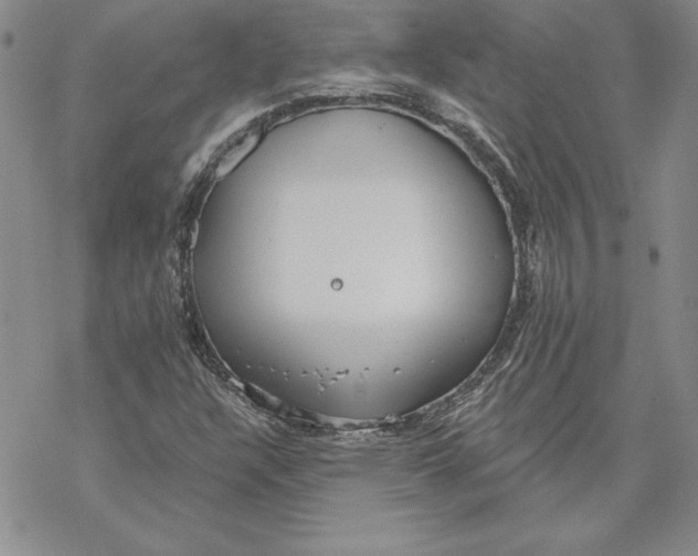 X0000069381304200606021557