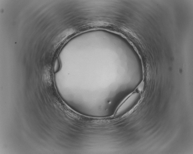 X0000069381305200606021557