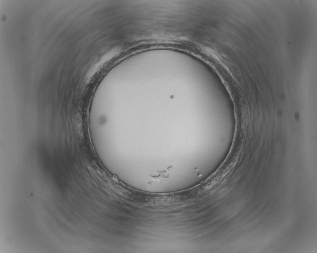 X0000069381307200606021557