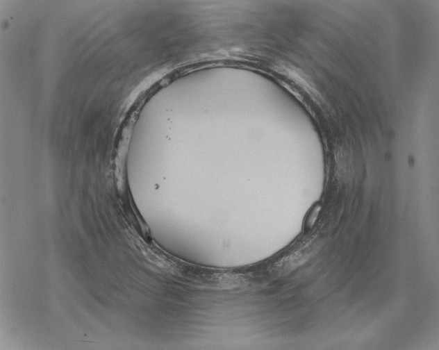 X0000069381308200606021557