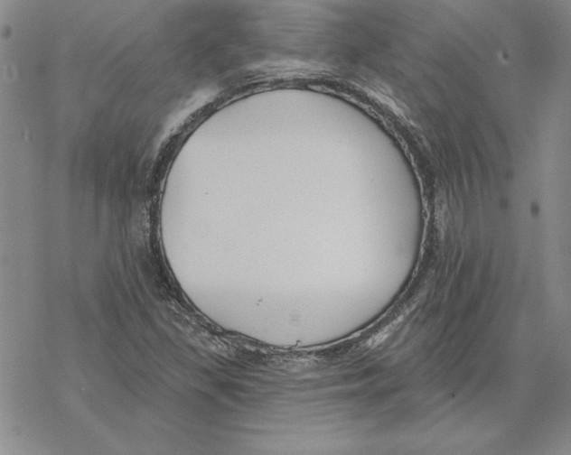 X0000069381309200606021557