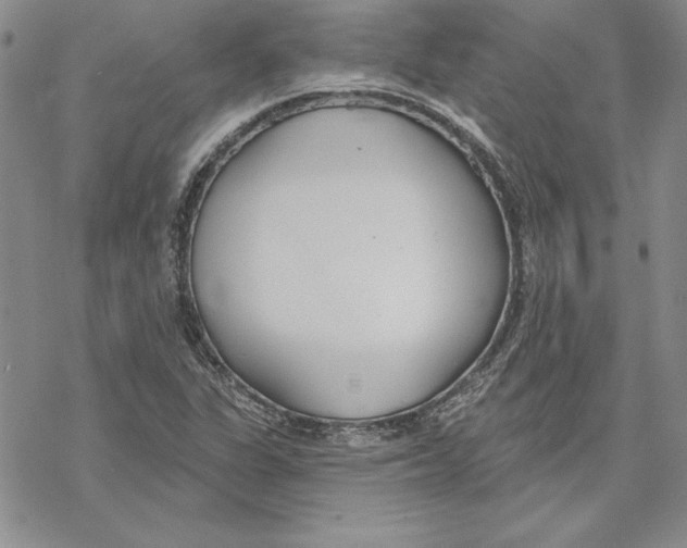 X0000069381311200606021557