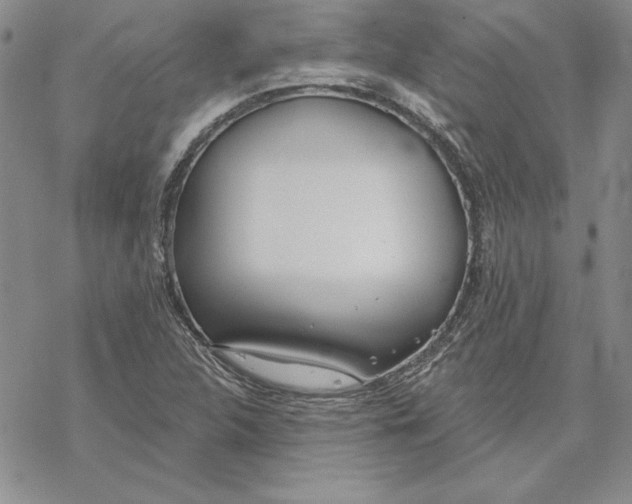 X0000069381312200606021557