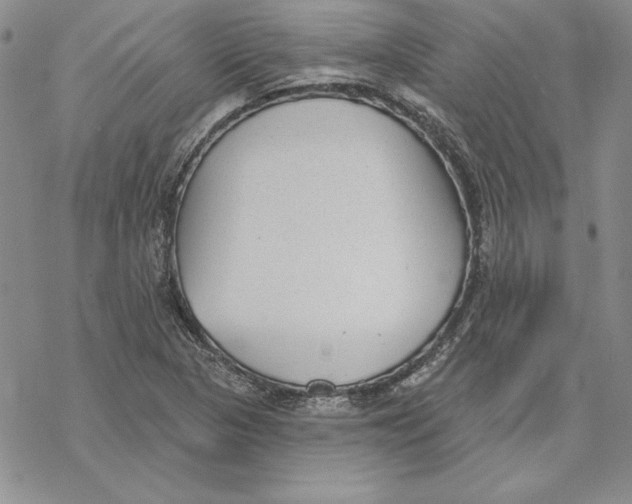 X0000069381313200606021557