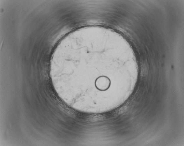 X0000069381314200606021557