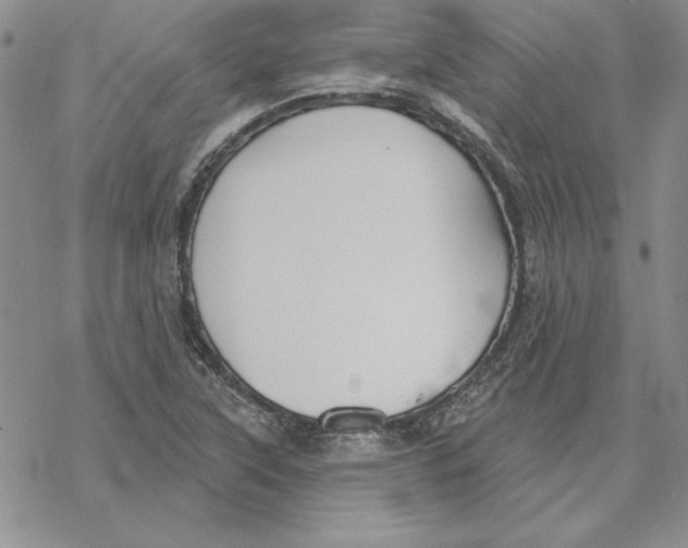 X0000069381315200606021557