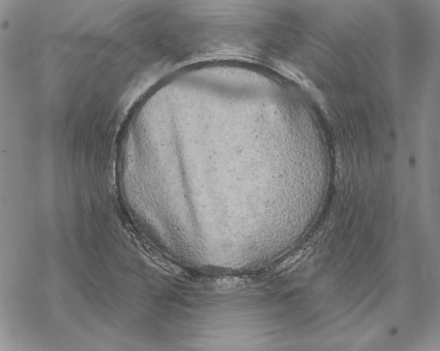 X0000069381316200606021557