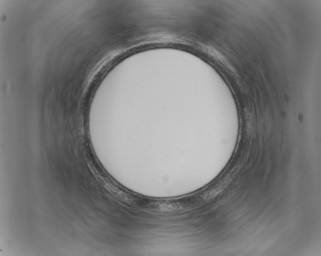 X0000069381318200606021557