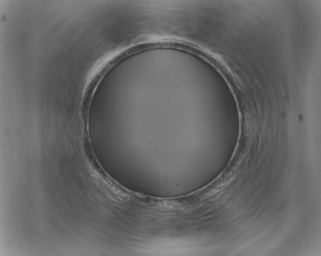 X0000069381319200606021557