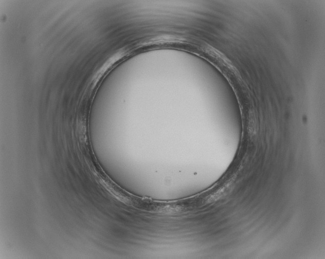 X0000069381321200606021557