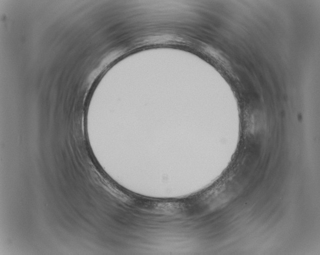 X0000069381322200606021557