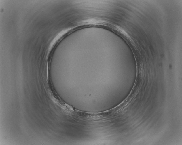 X0000069381323200606021557