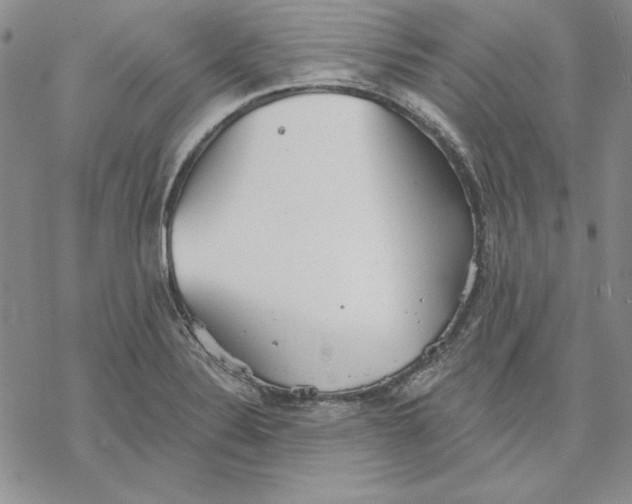 X0000069381324200606021557