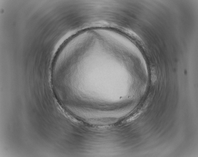 X0000069381326200606021557