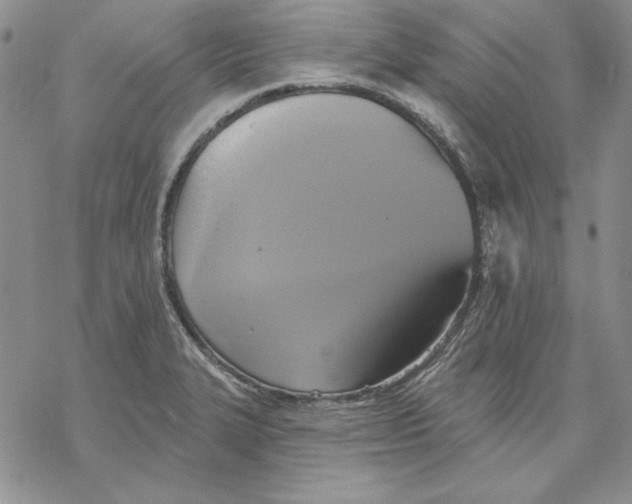 X0000069381327200606021557