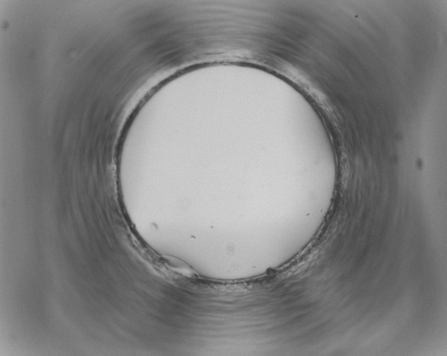 X0000069381332200606021557