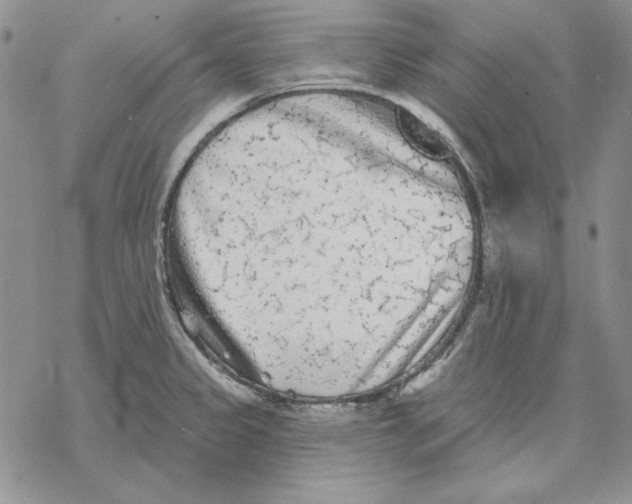 X0000069381333200606021557