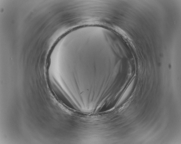 X0000069381334200606021557