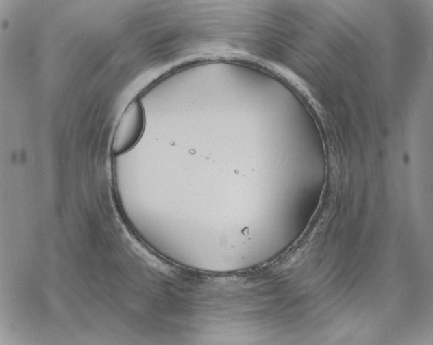 X0000069381335200606021557