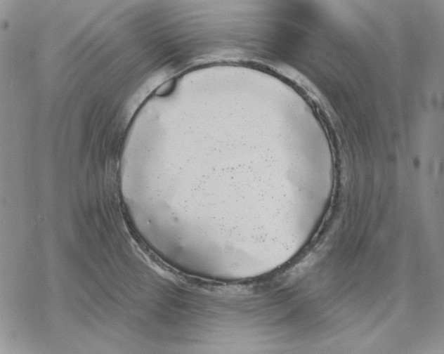 X0000069381337200606021557