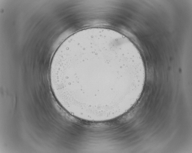 X0000069381338200606021557