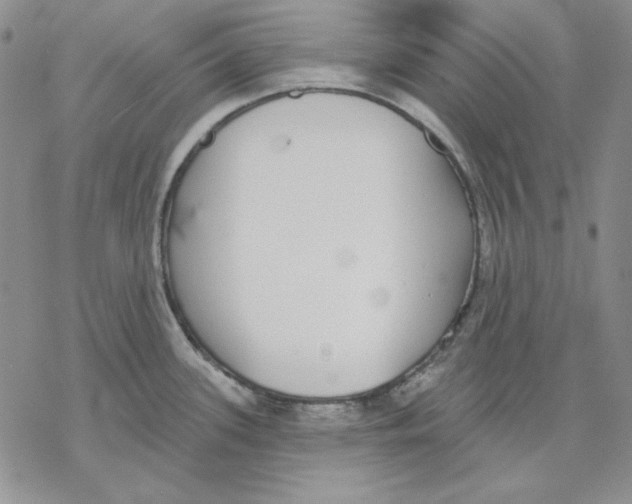 X0000069381339200606021557