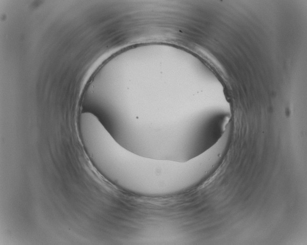 X0000069381340200606021557