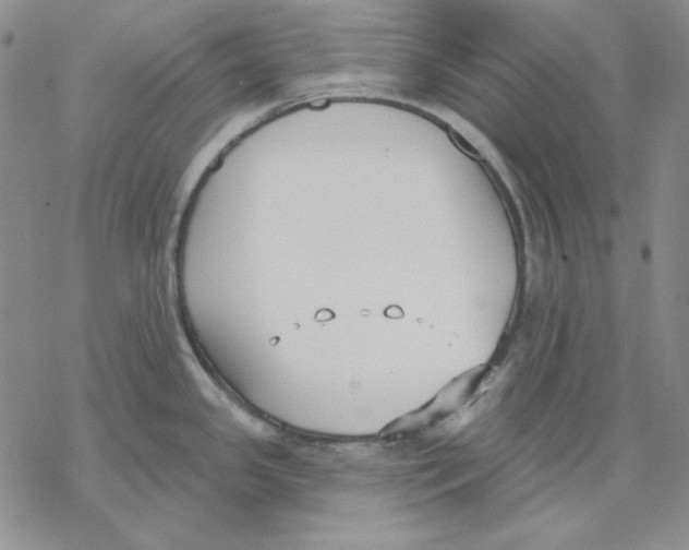 X0000069381341200606021557