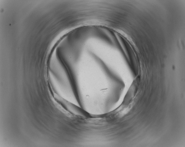 X0000069381342200606021557